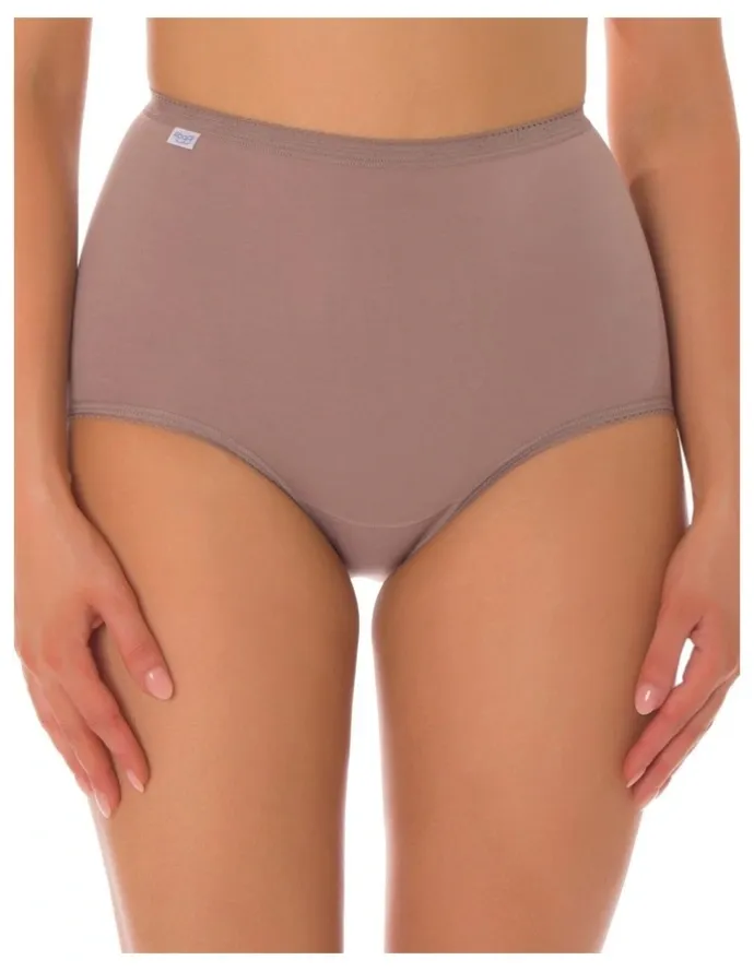 Sloggi Maxi Brief 2 Pack in Multi