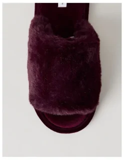 Soho Miley Slipper in Plum