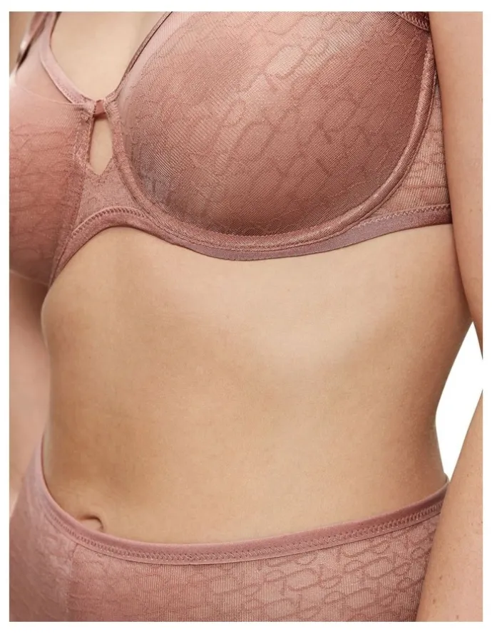 Triumph Signature Sheer Ex Bra in Toasted Almond